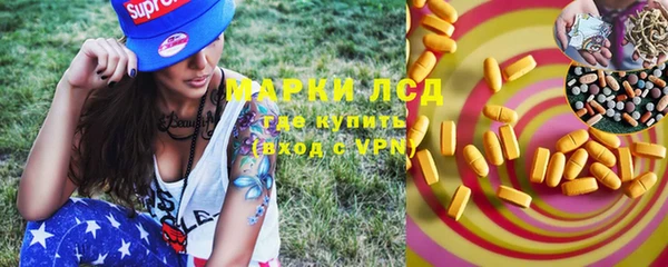 трава Пересвет