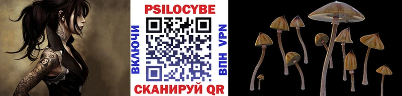 Псилоцибиновые грибы Magic Shrooms  наркотики  Вичуга 